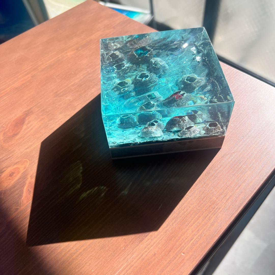 波紋アート】フジツボアート／barnacle／オブジェ／10cmプリズム