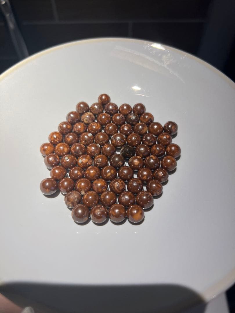 ワールドレップサービス アースボール68個 - メルカリ