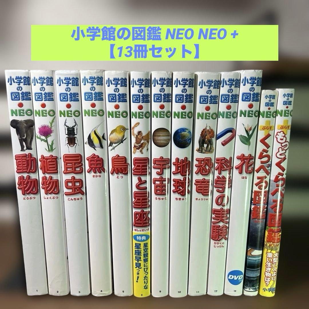 小学館の図鑑 NEO NEO + 【13冊セット】 Amazon.co.jp: 小学館の図鑑NEOポケット(全13巻セット) : 本