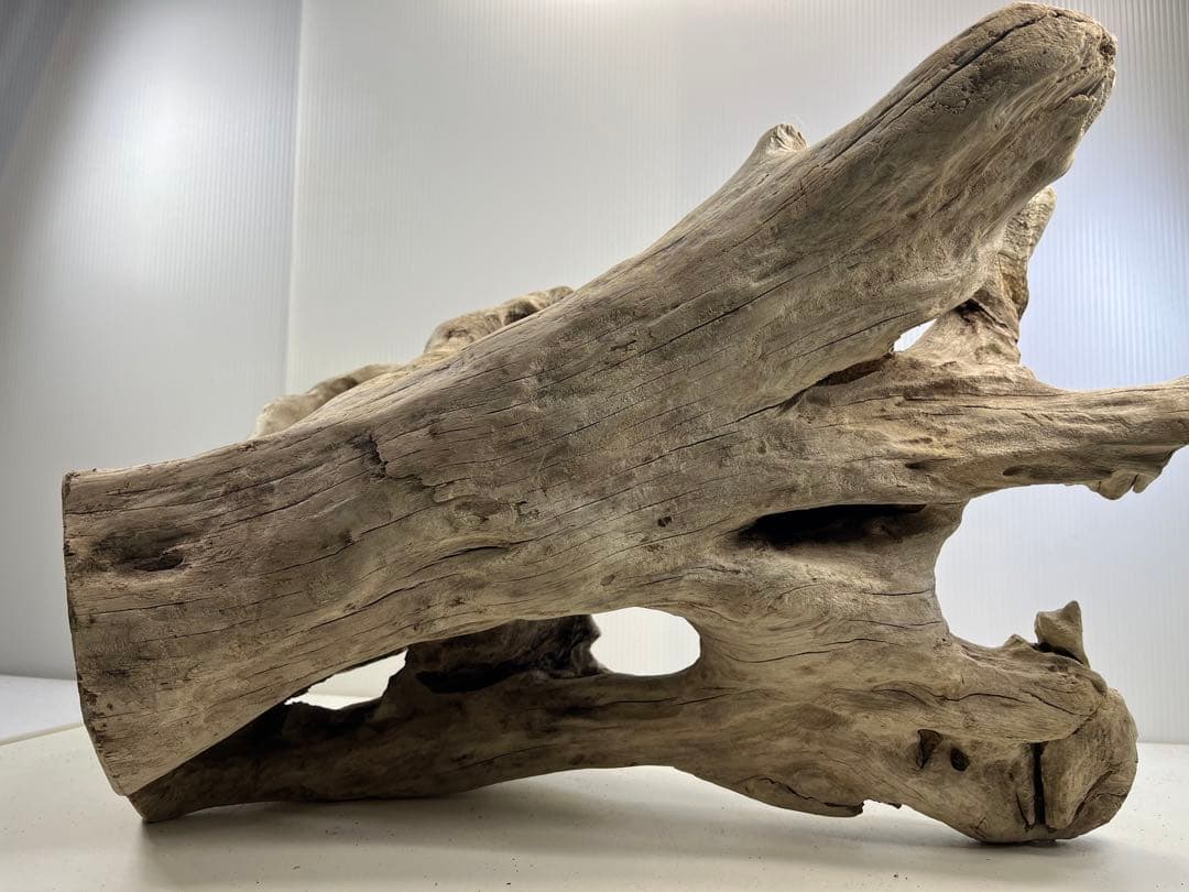 T90特大流木 大型流木 アク抜き済み 漂白処理 爬虫類シェルター