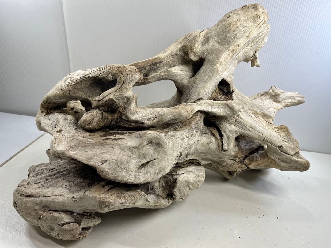 T90特大流木 大型流木 アク抜き済み 漂白処理 爬虫類シェルター