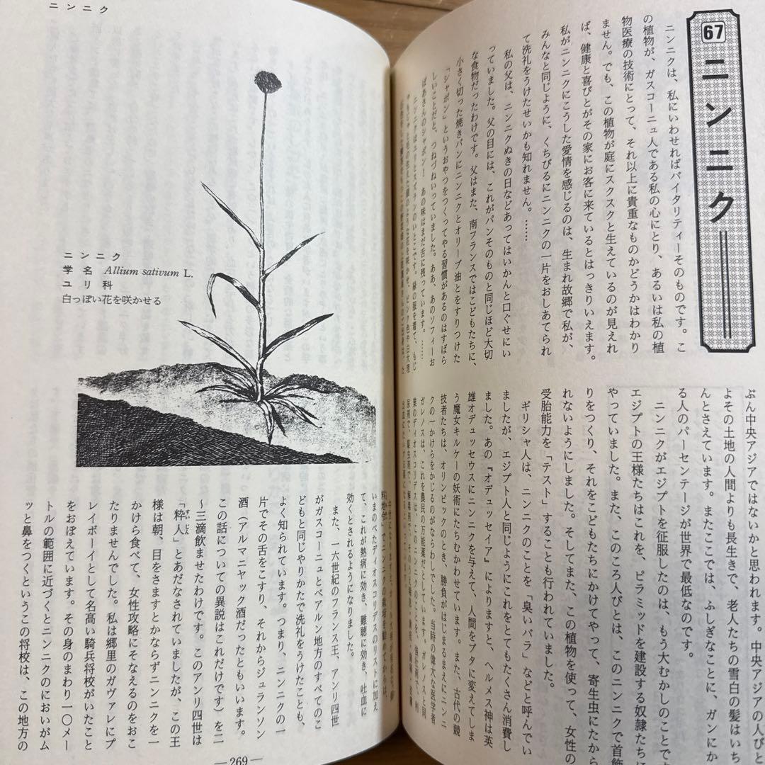 メッセゲ氏の薬草療法 ハーブ 薬草 自然療法 本 自然の友社 モーリス