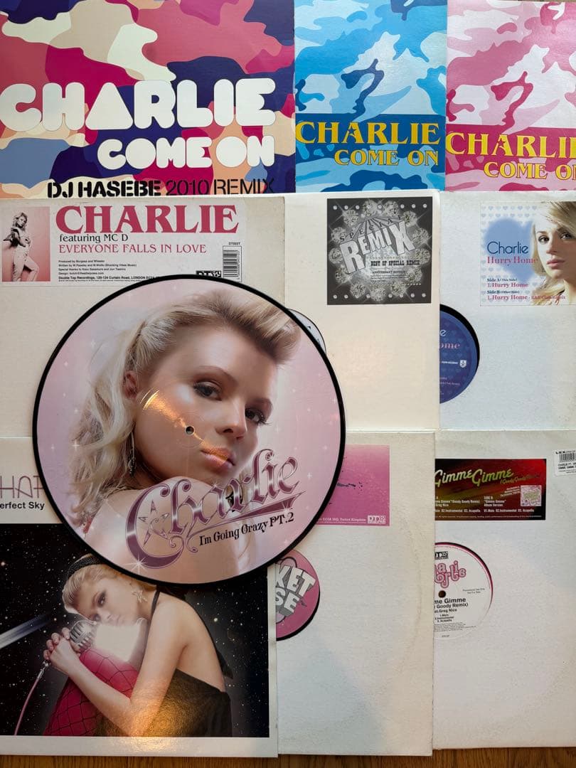 Charlie レコード 10枚ピクチャー盤/リミックス含む DJ HASEBE 2026年最新】dj hasebe レコードの人気アイテム - メルカリ