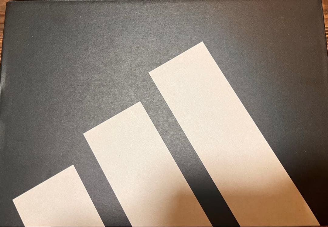 adidas adizero evo sl エボSL 27.5cm 新品未使用