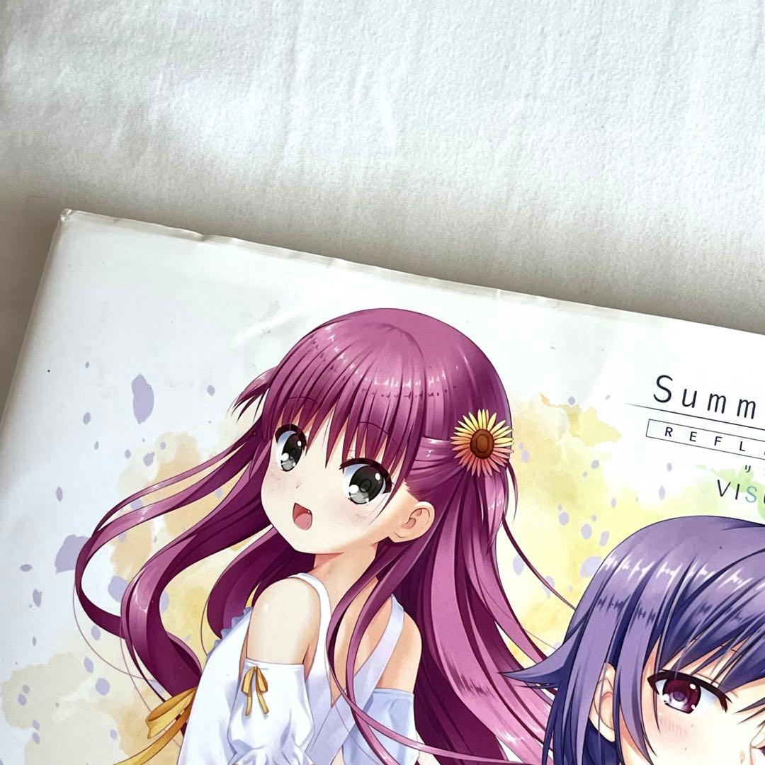 サマポケ リフレクションブルー ビジュアルファンブック - メルカリ