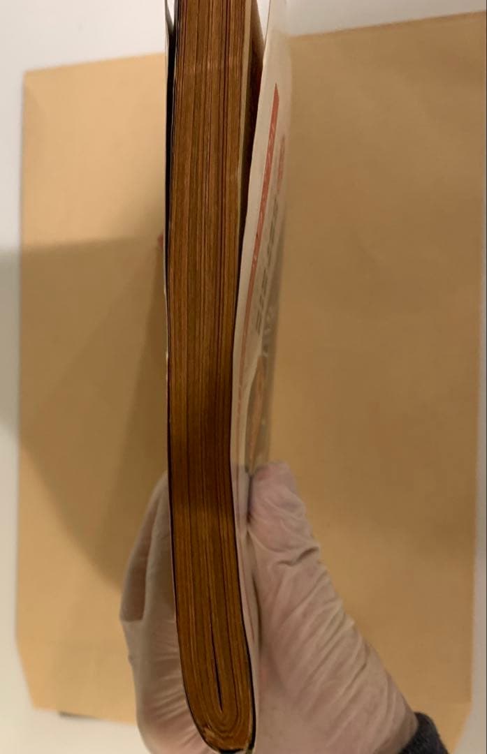 て*や様 【絶版！激レア】「わが青春のアルカディア」初出のビッグコミックオリジナ