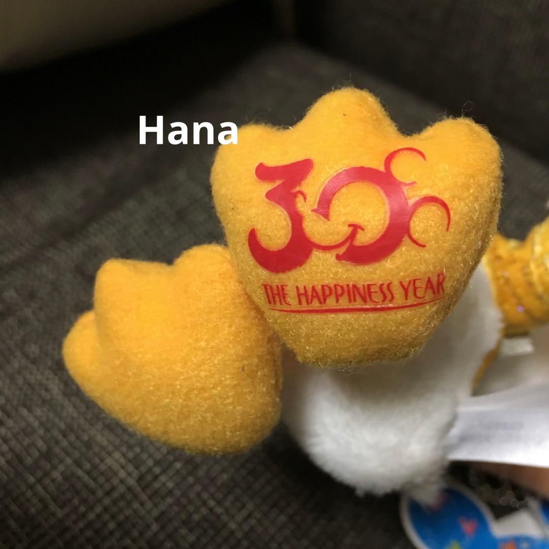 新品・タグ付き ディズニーリゾート 30周年限定 ドナルド ぬいぐるみ