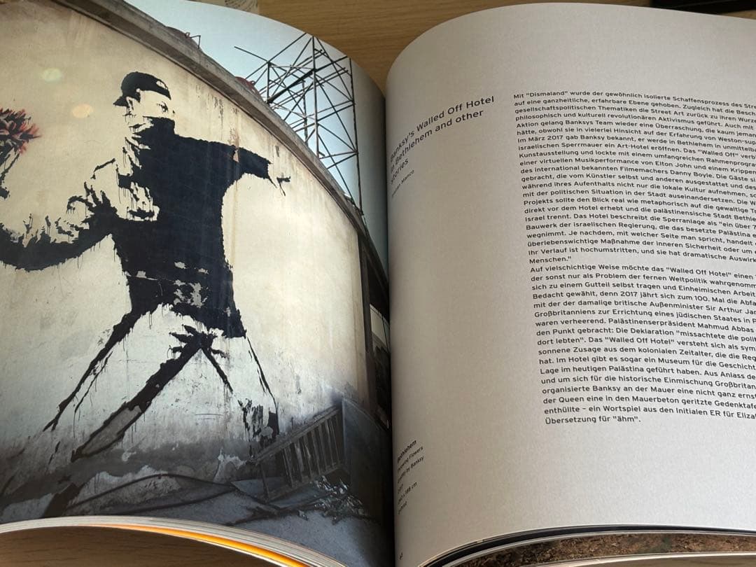 Banksy´s Dismaland & Others バンクシー アートブック