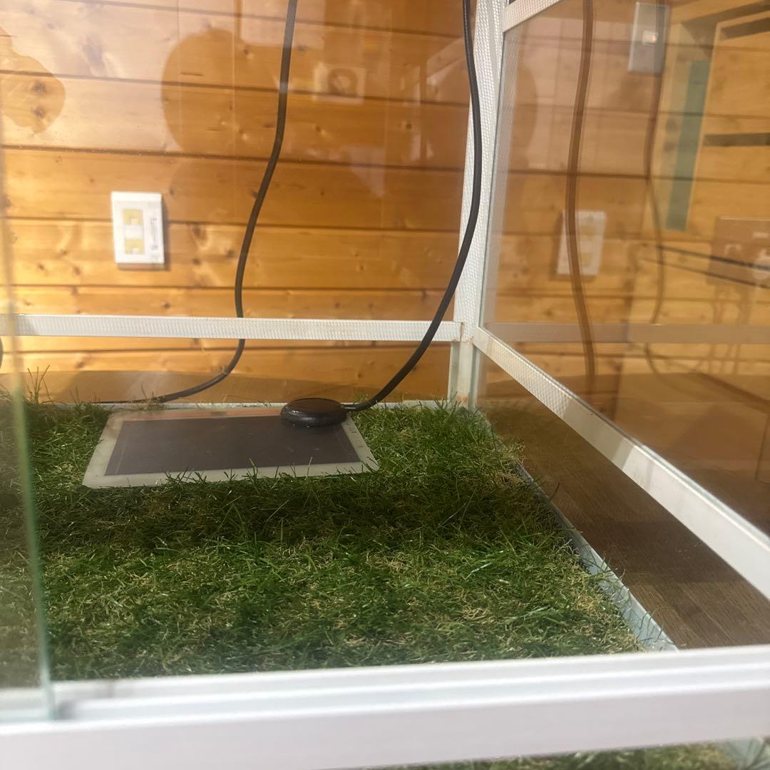 パンテオン6045 他飼育セット - メルカリ