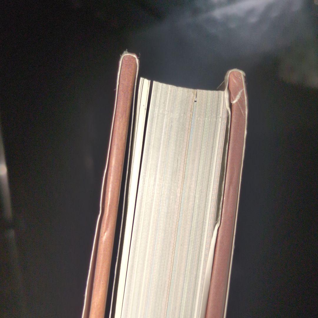 ミッシェル・バテュ 画集 BATTUT Voyages 2000年