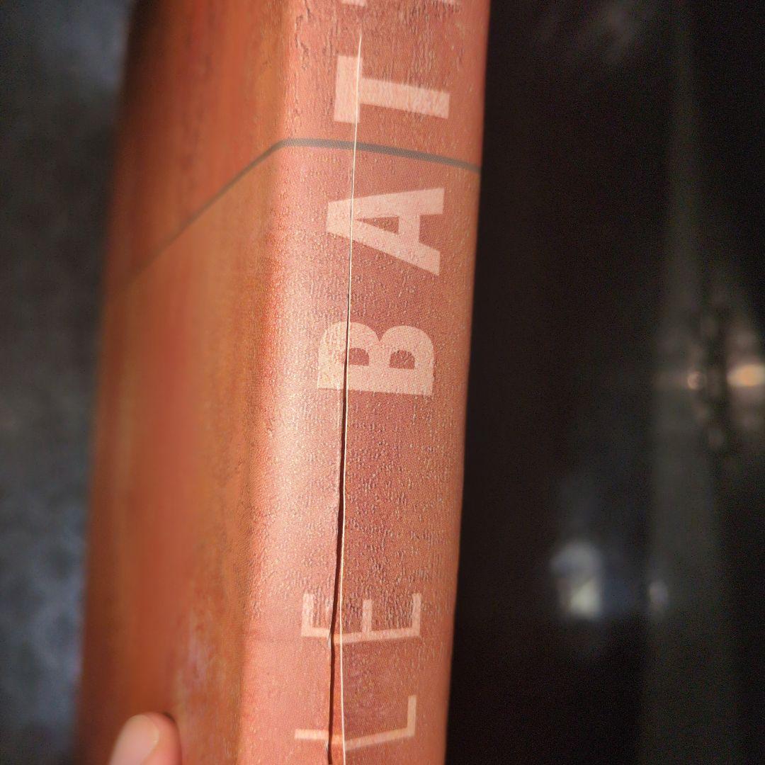 ミッシェル・バテュ 画集 BATTUT Voyages 2000年