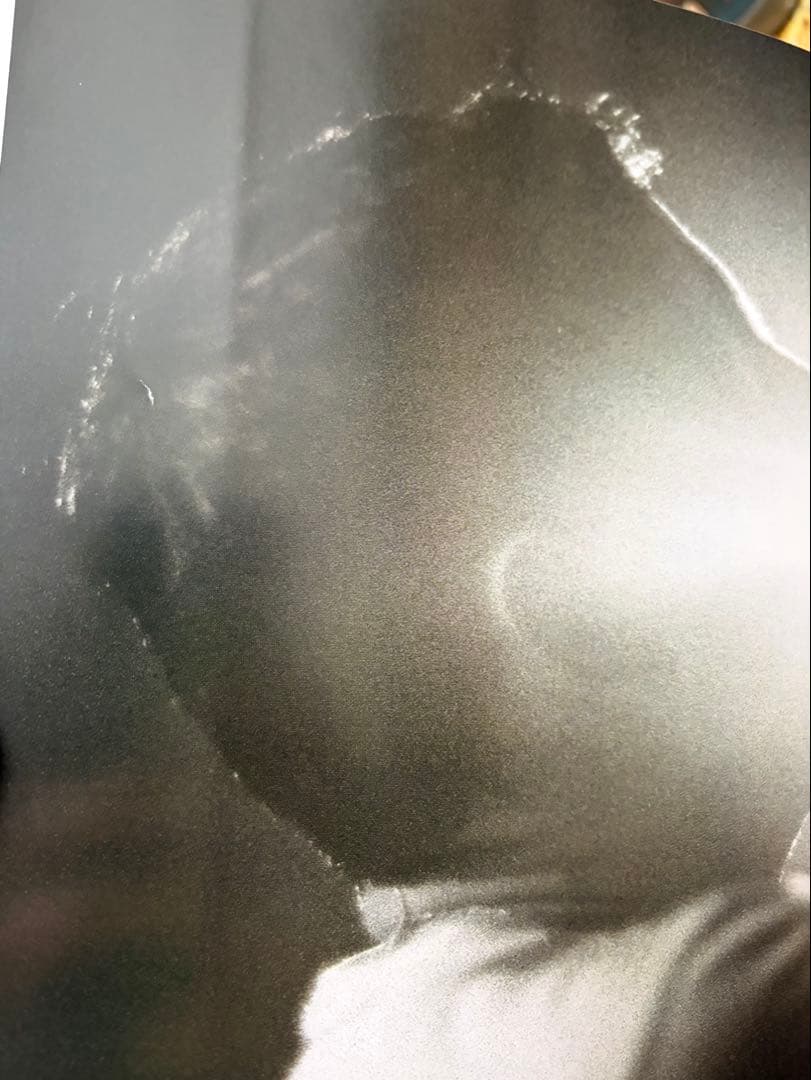 激レア！リンキンファン必見！入手困難・初期リンキン・パーク写真集！