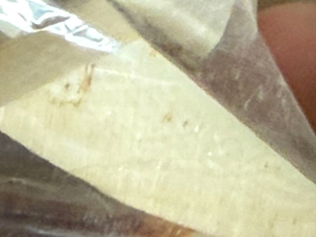 天然素材 白材 マンモス 重量2.05kg 加工用素材用 中古品 。 - その他本物