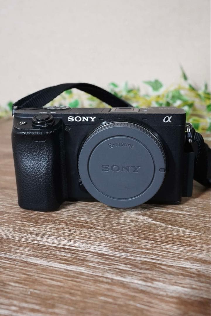 α6400 ソニーミラーレス一眼 旅行で実践！ コスパ優秀のミラーレスカメラ、ソニー「α6400」レビュー