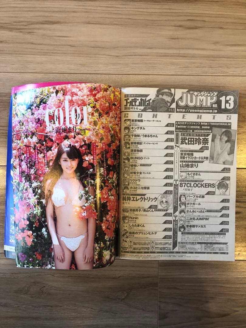 【激レア】武田玲奈 ヤングジャンプ初表紙 サイン入り