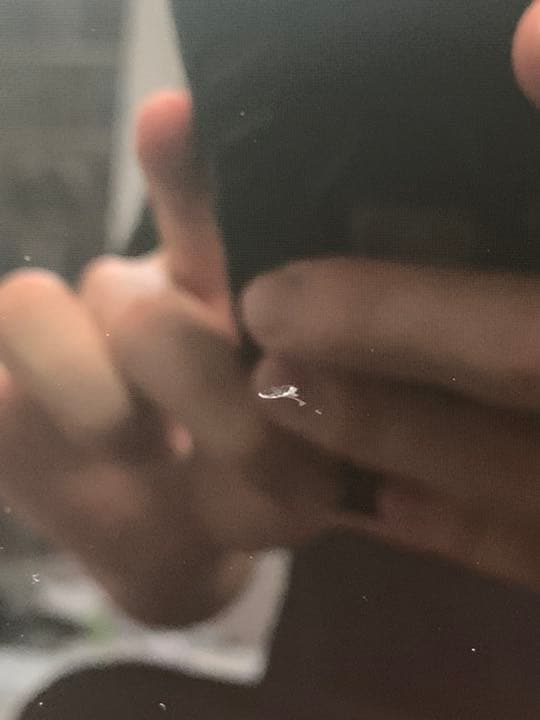 《最終値下げ》Dell ノートパソコンInspiron14 Celeronモデル