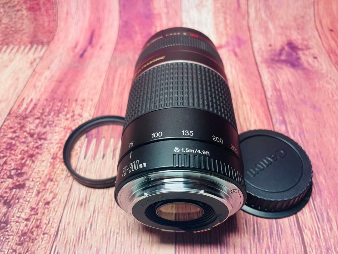 CANON キャノン EF 75-300mm1:4-5.6 Ⅲ USM