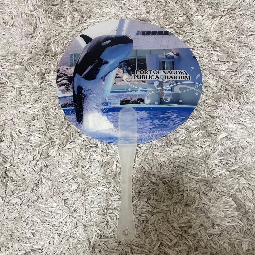 名古屋港水族館　シャチ　ナミちゃんうちわ 印刷用】雌シャチ「ナミ」大量の石誤飲／名古屋の水族館、死後判明