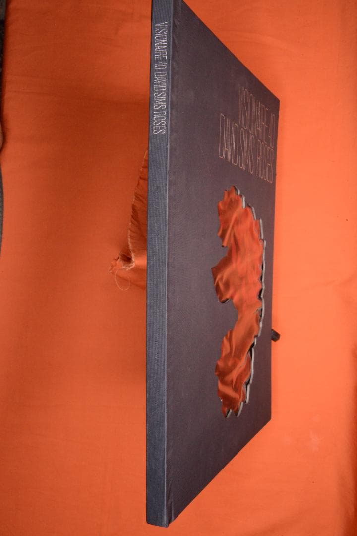 VISIONAIRE 40：DAVID SIMS ROSES　★★値下げしました