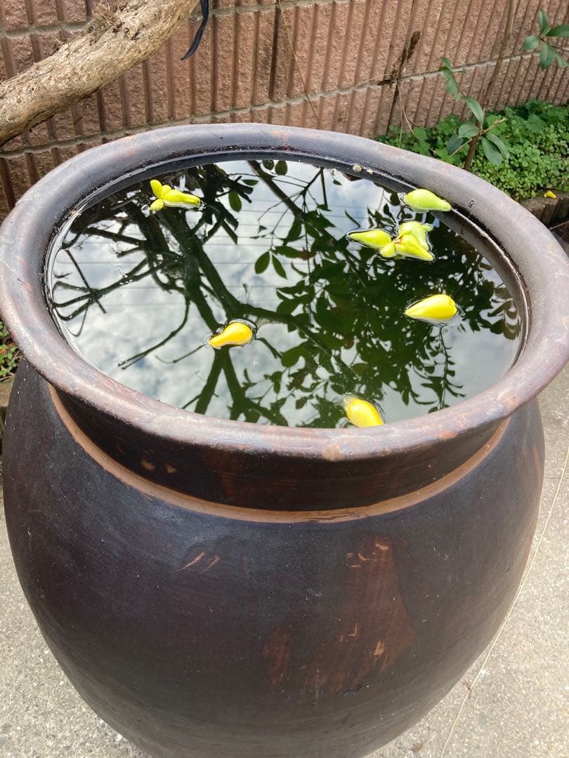 古民具】大型 渋い黒釉 、ダークブラウン陶器の甕。 アンティーク