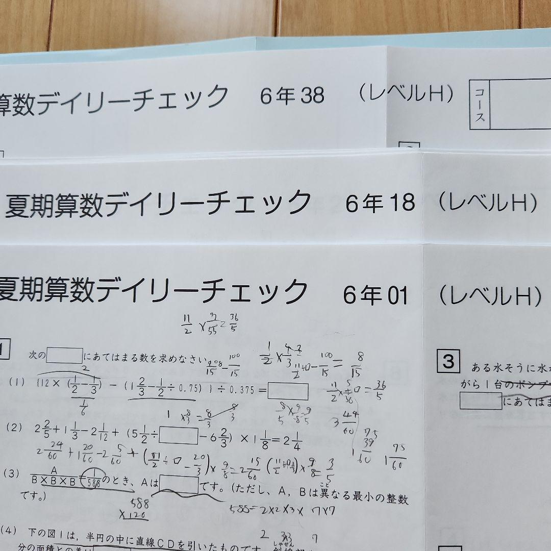 2025年度 サピックス 6年生算数・夏期算数デイリーチェック 欠番なし
