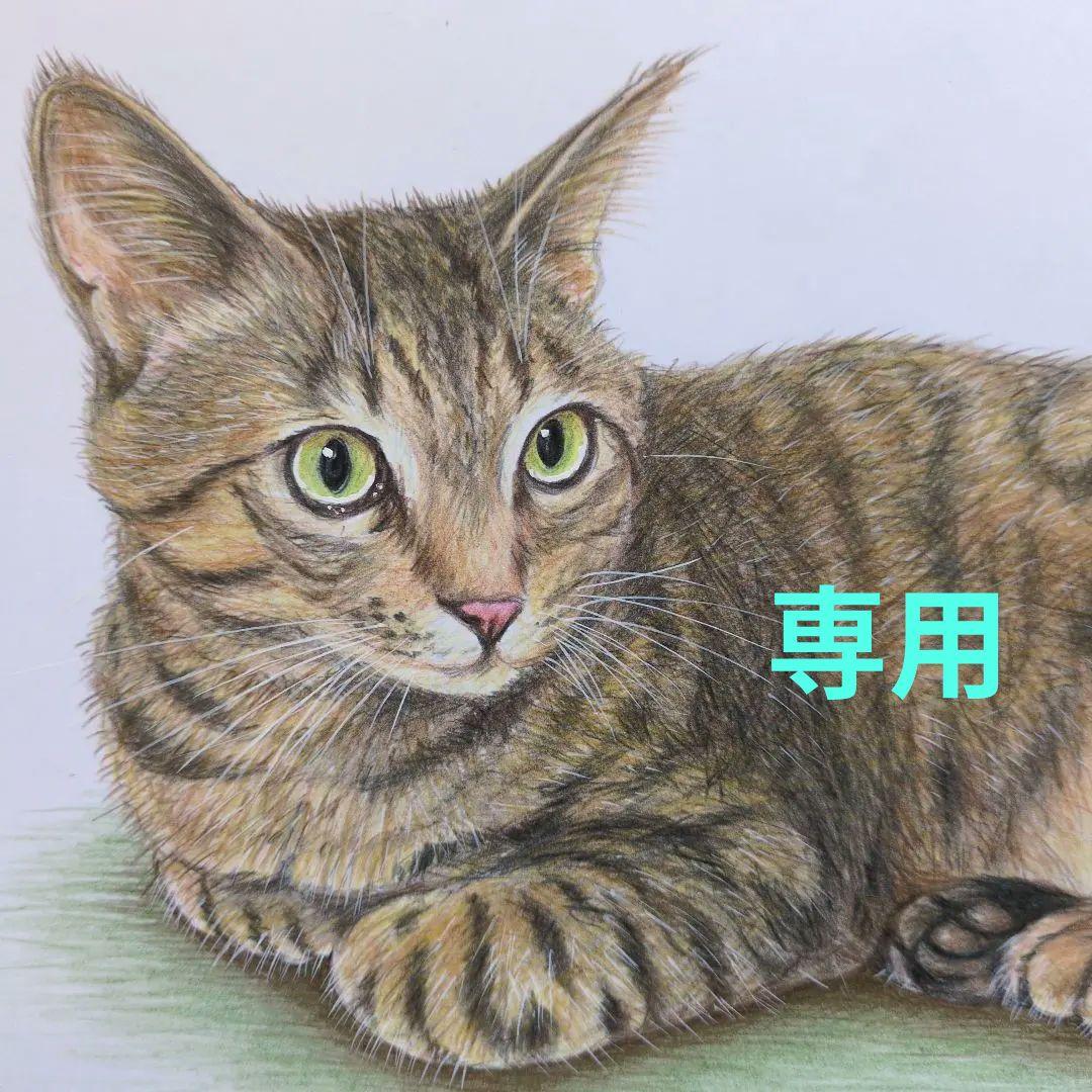 ウニ郎様専用です♪ 色鉛筆画 A5 犬・猫♡4枚 - イラスト最高