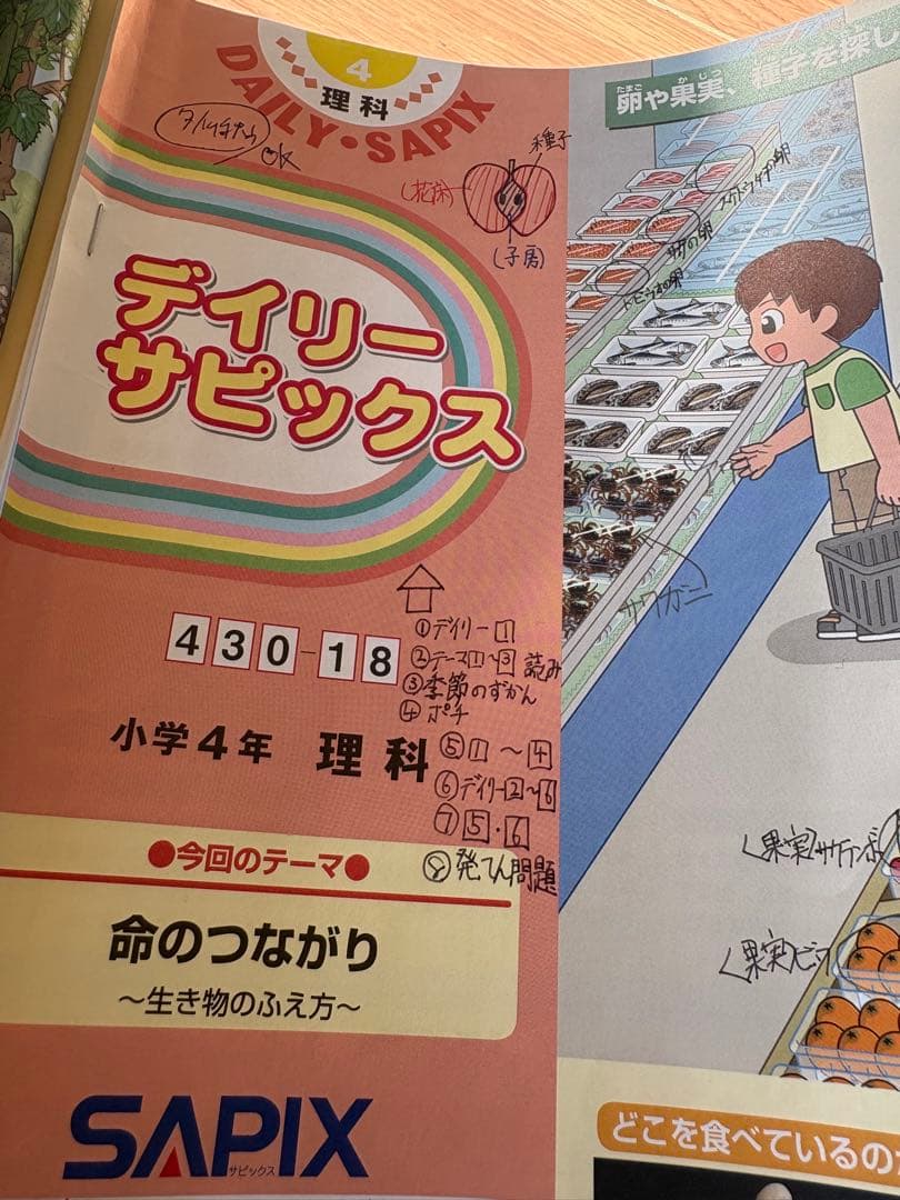 2020年度 サピックス小学4年 理科セット 中学受験 - メルカリ