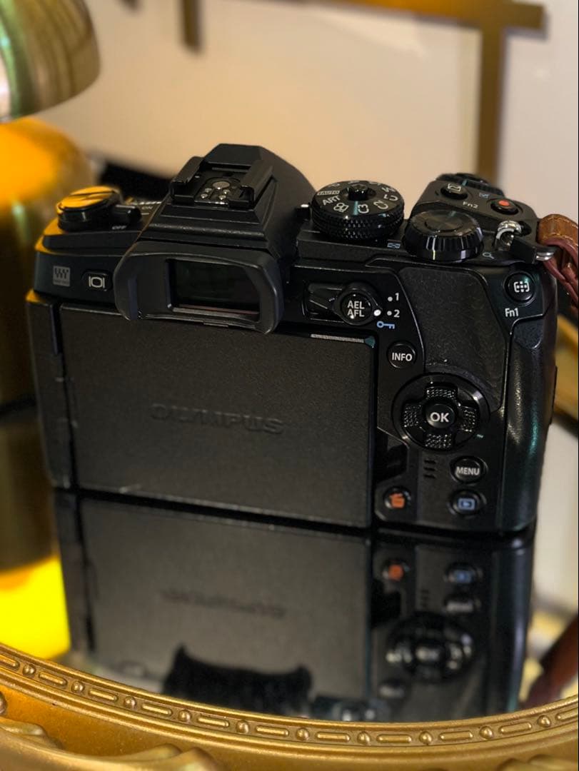 OLYMPUS OM-D E-M1 Mark II ボディ 美品 5578回