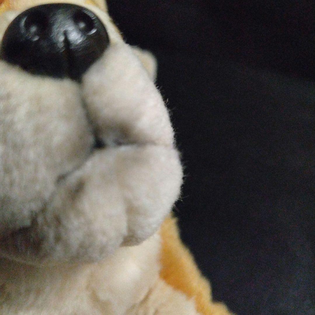 REGALO レガロ リアルドッグコレクション 柴犬 ぬいぐるみ - メルカリ