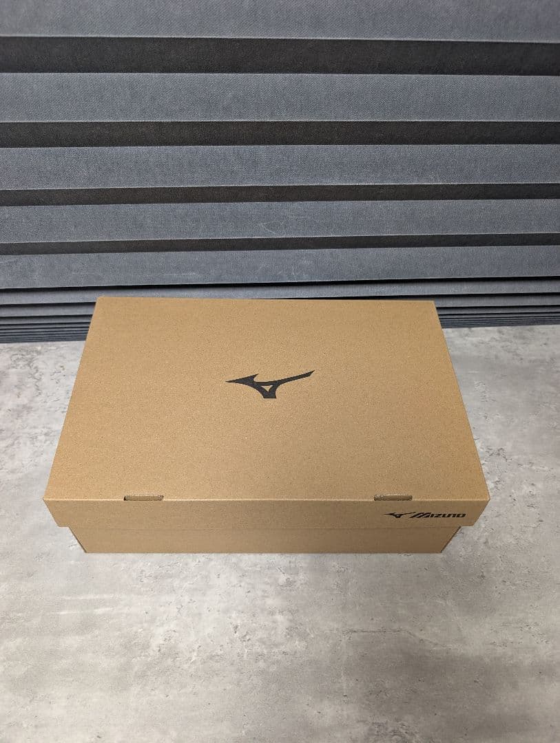 Mizuno オールマティック LS II 22L 26.5EE