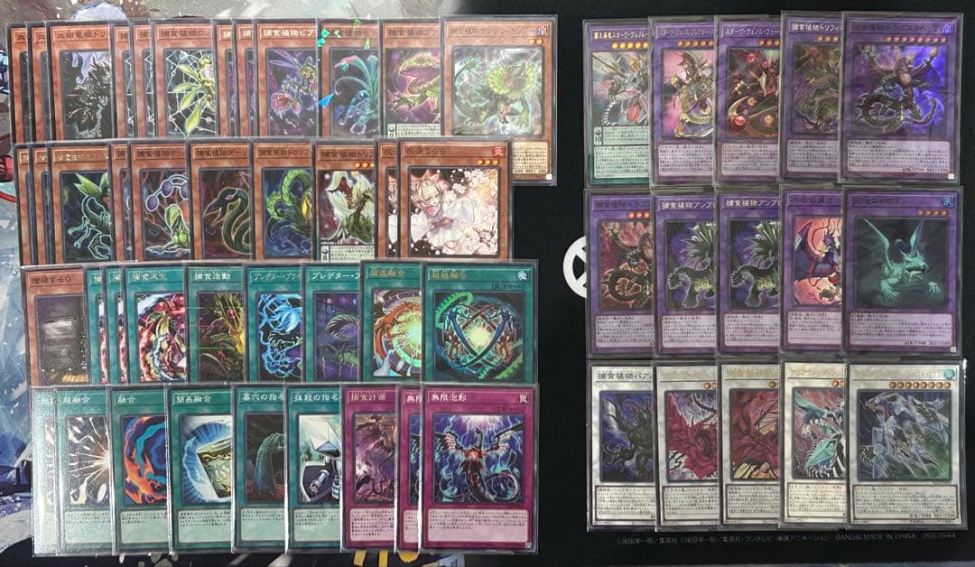 遊戯王 捕食植物デッキ プレデタープランツ 新弾構築 即購入可 超逸