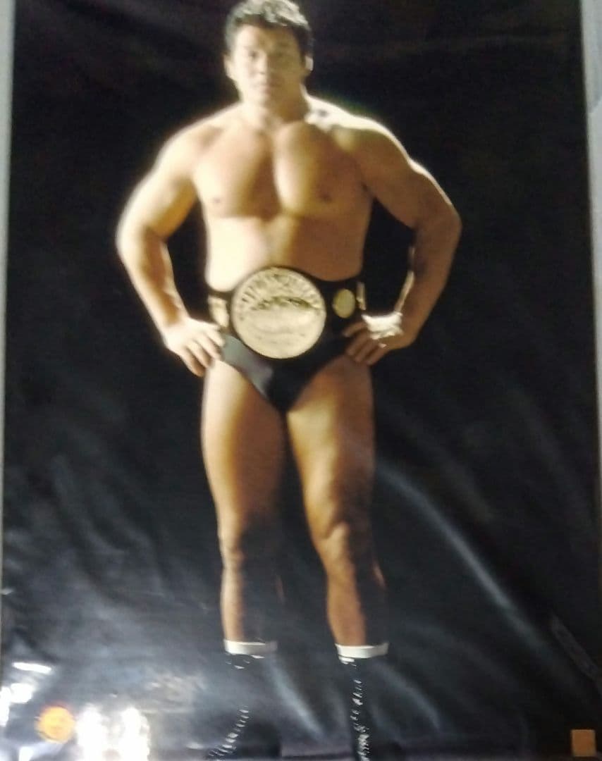 新日本プロレス アントニオ猪木 坂口征二 天龍源一郎 蝶野正洋