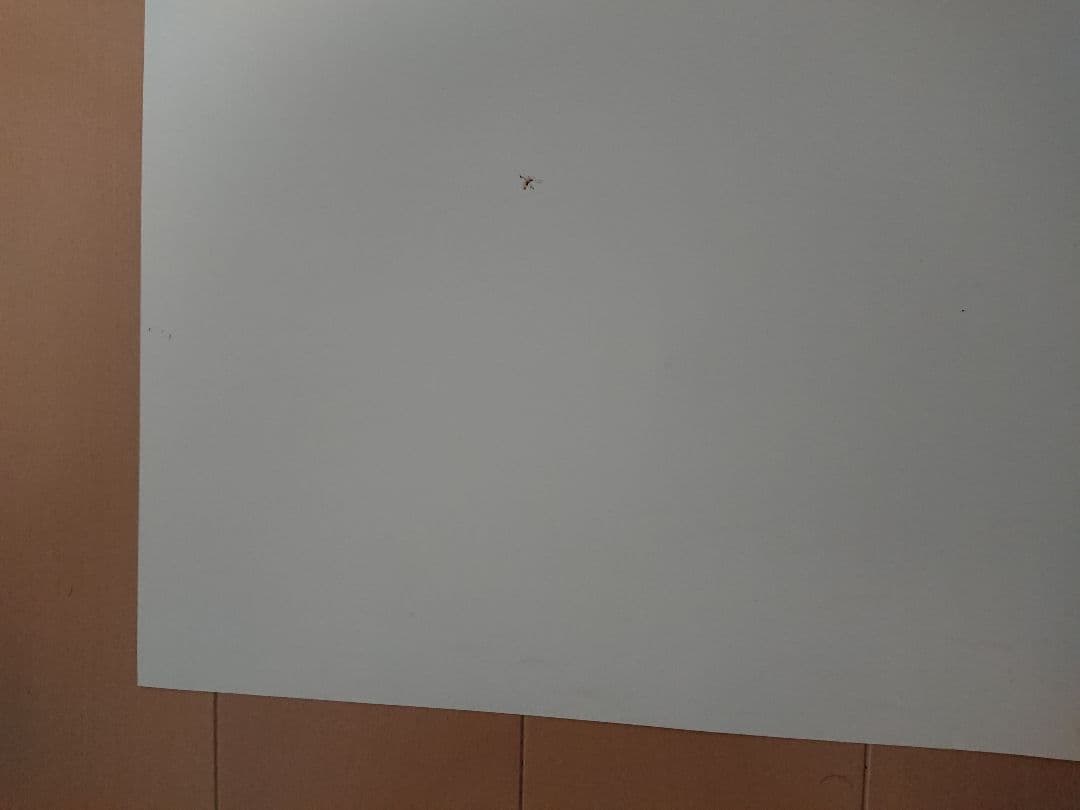 EVE burst error＋ 販促ポスター１枚