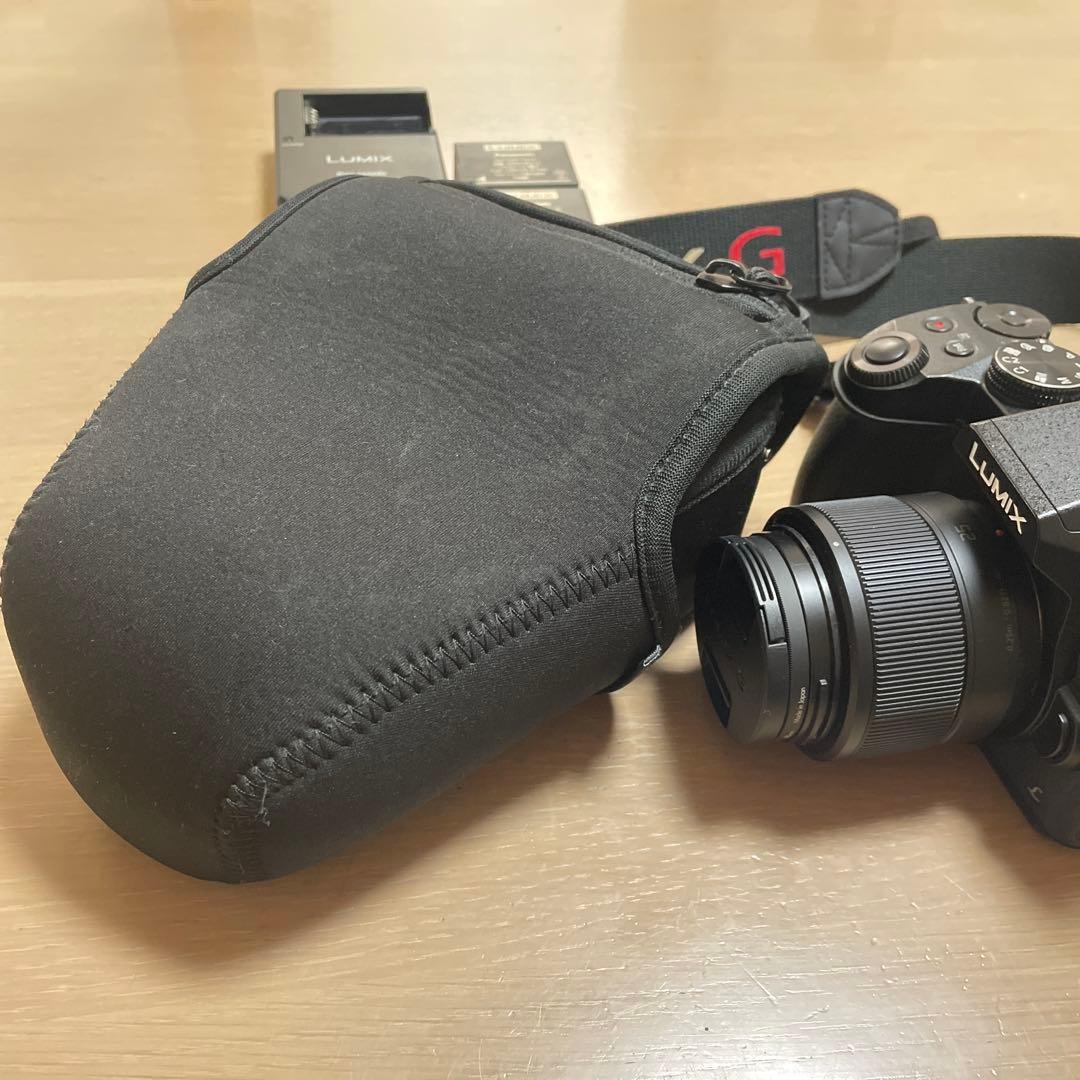 特別セール！《67000円→》LUMIX G デジタルカメラ 本体と付属品
