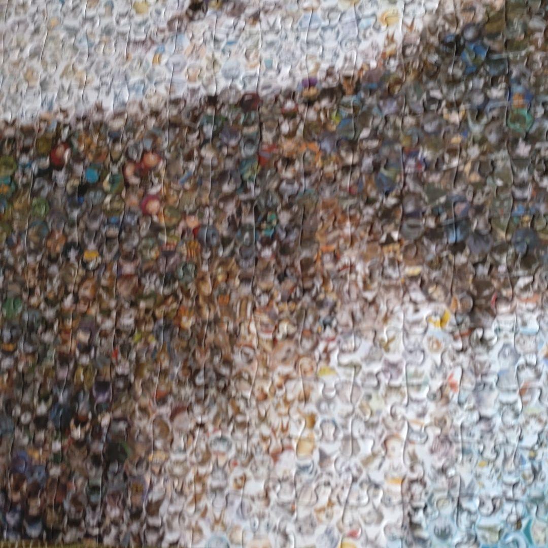 ダヤン わちふぃーるど ジグソーパズル 1000P モザイクアート 50×75