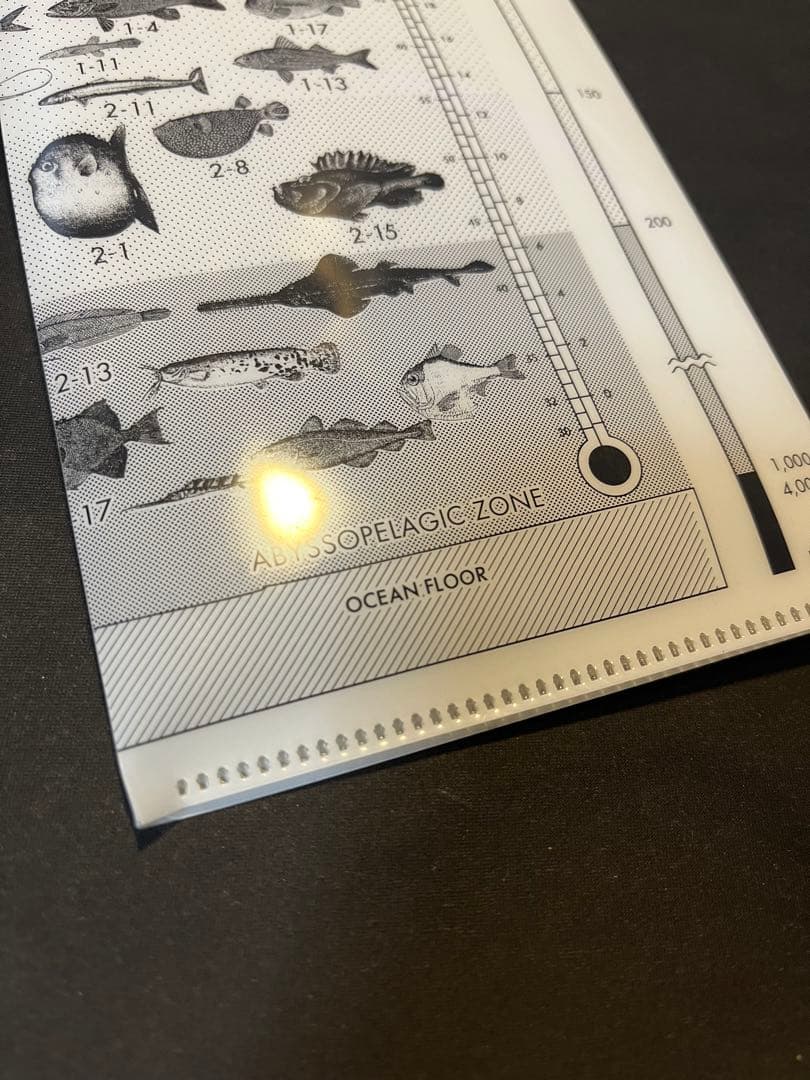 サカナクション 魚図鑑(2CD +魚図鑑 +Blu-ray)チケットホルダー付き