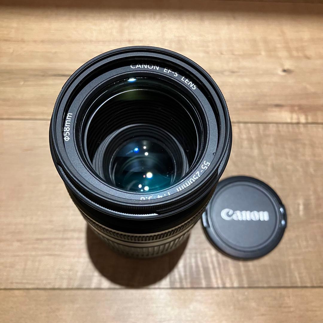 Canon EF-S 55-250mm f/4-5.6 IS ズームレンズ
