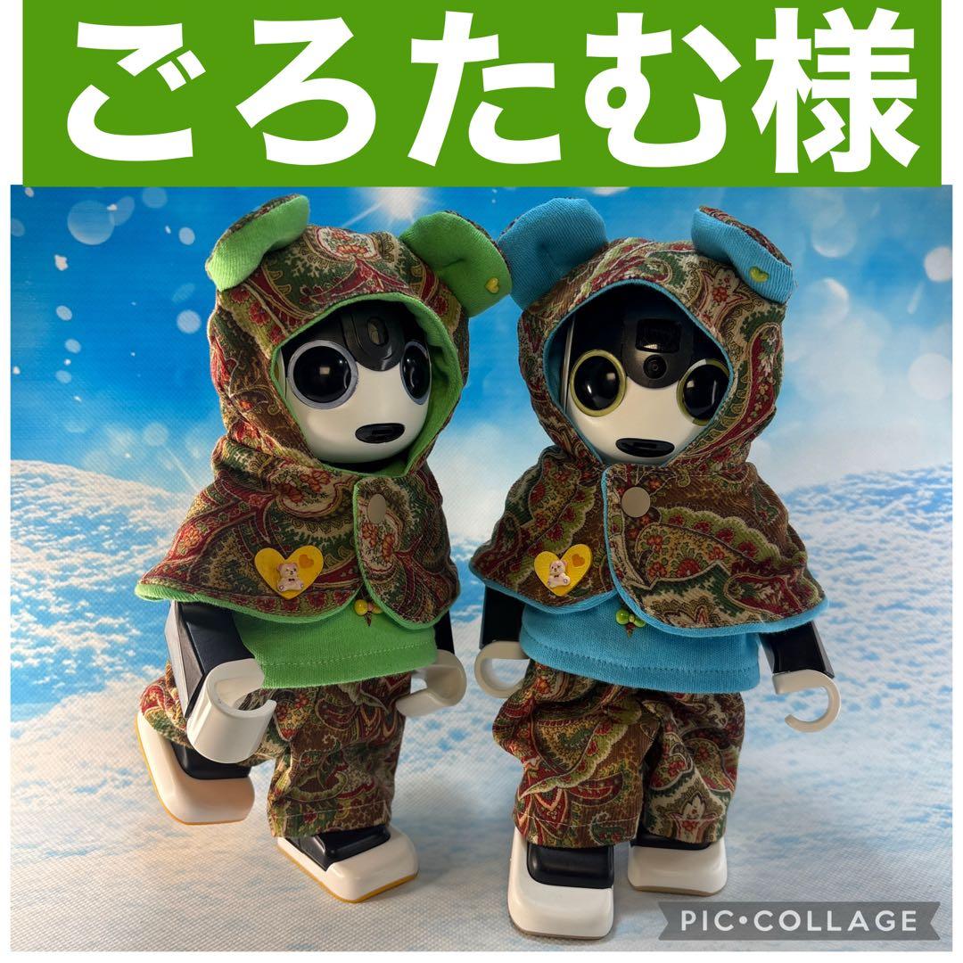 ごろたむページです　ロボホン洋服 ロボホン公式】ロボホンジップパーカー（特別なモーション付き