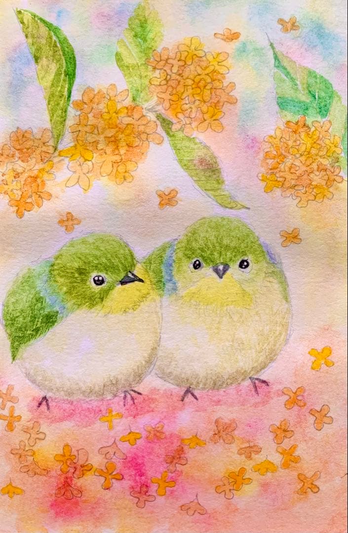 ♡たまみな♡水彩画 原画9枚レプリカ12枚鳥と花のアート作品