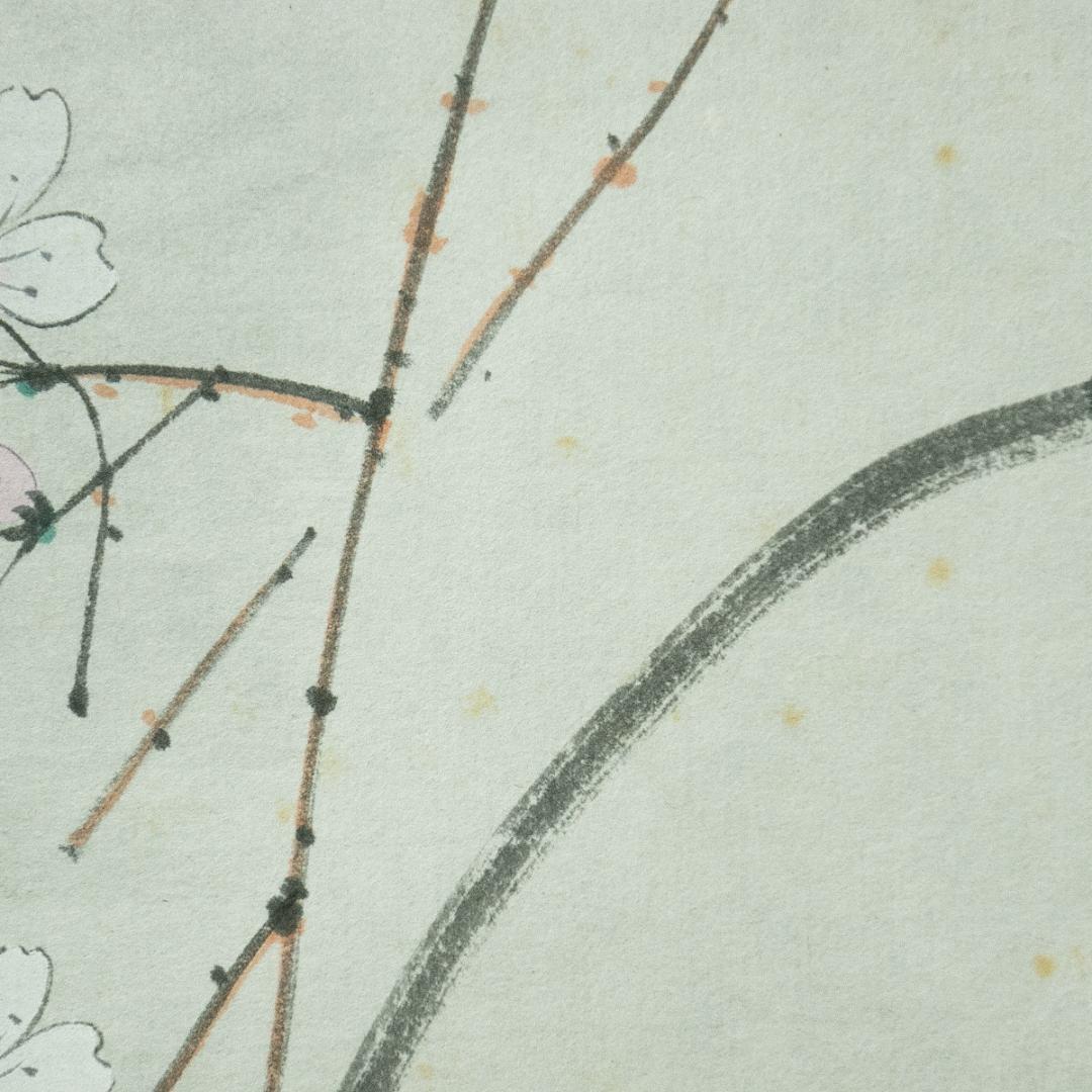 掛軸-1728 東福寺 西部文浄 夜桜画賛 共箱 - メルカリ