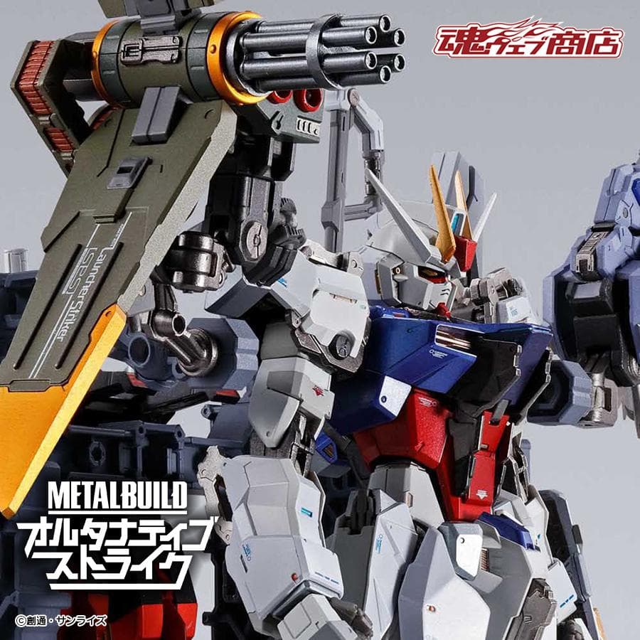 L BUILD ストライクガンダム　5点セット METAL BUILD 【特別販売】ストライクガンダム -METAL BUILD 10th Ver