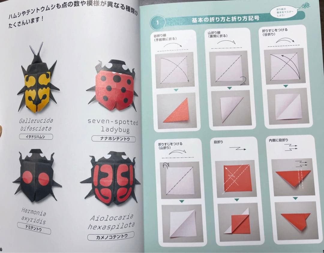 切らずに1枚で折る 折り紙昆虫記 - メルカリ