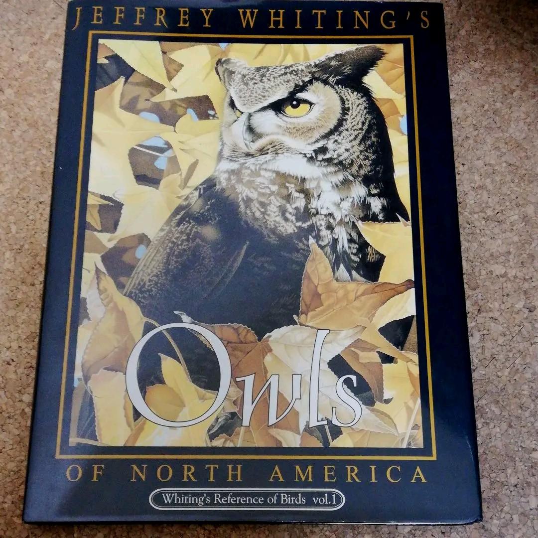 Jeffrey Whiting's Owls of North America 洋書 Jeffrey Whiting's