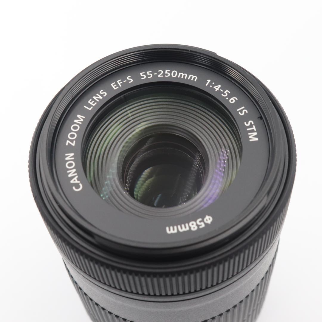 Canon EF-S 55 -250mm F4.5-5.6 IS STM 美品