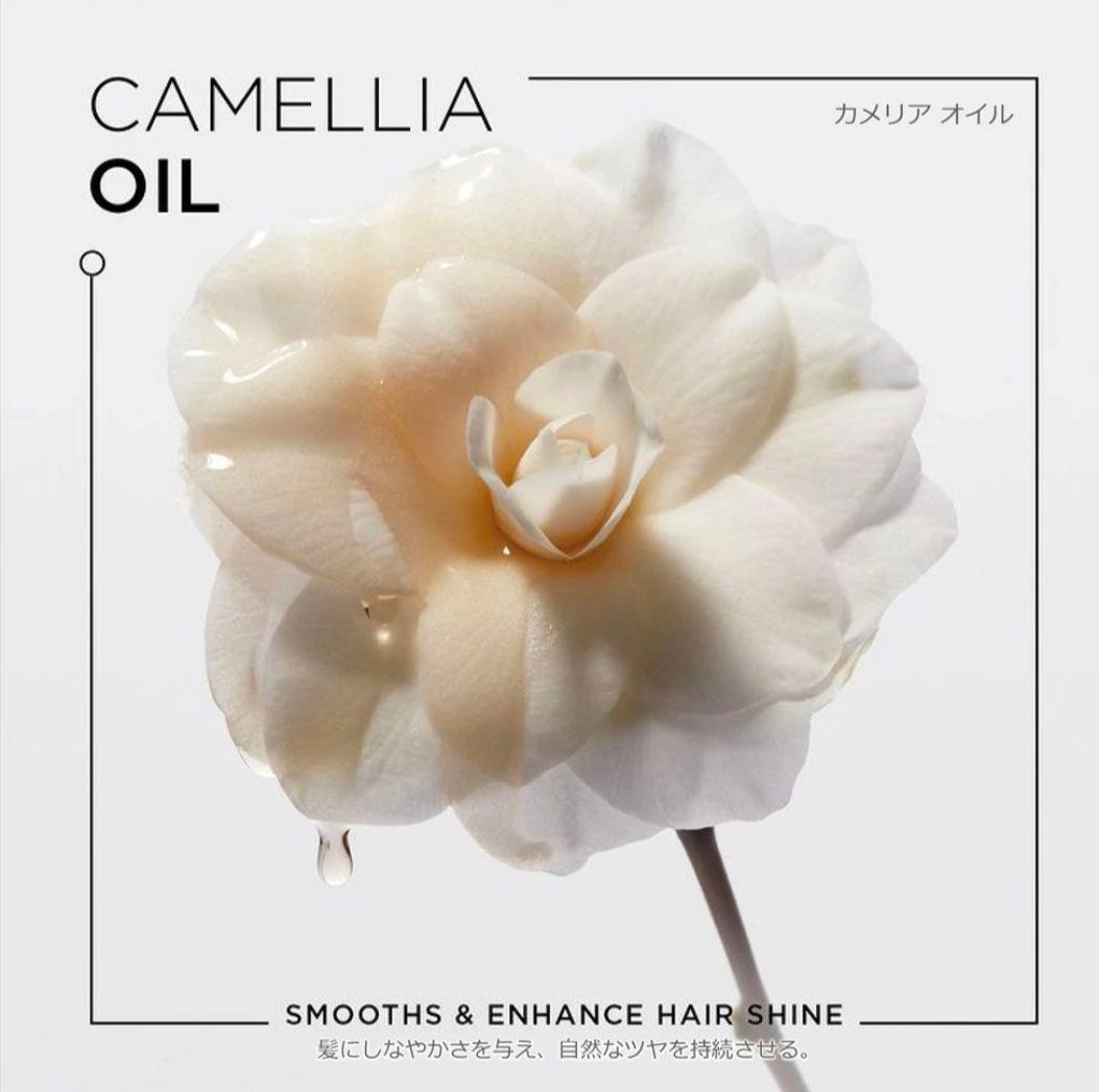 【みなみ】3本分