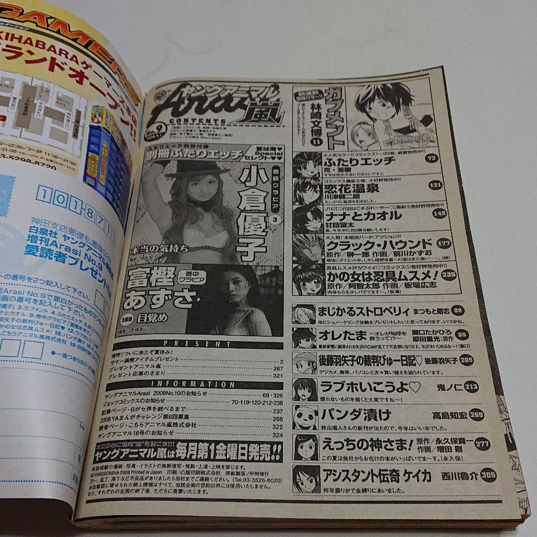 「ヤングアニマル 嵐」別冊ふたりエッチ付き