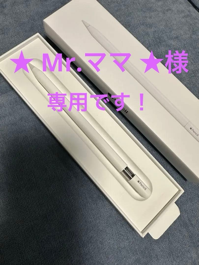 Apple Pencil (USB-C) 純正　アップルペンシル Buy Apple Pencil (USB-C) - Apple