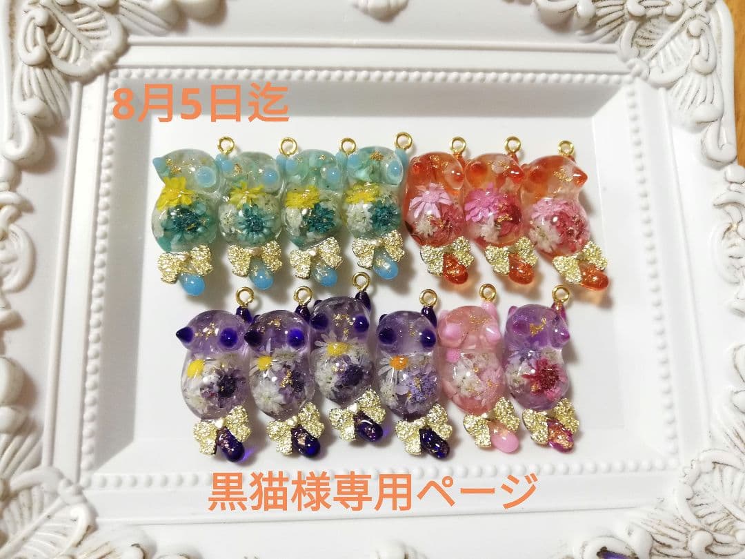 黒猫ページ 61pykbKSwkL._AC_UF1000,