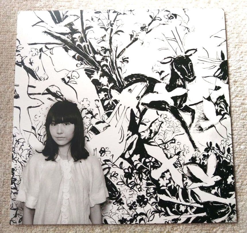 sugar me Why White Y　LPレコード SUGAR ME / WHY WHITE Y? [LP - ]：JAPANESE：アナログレコード専門