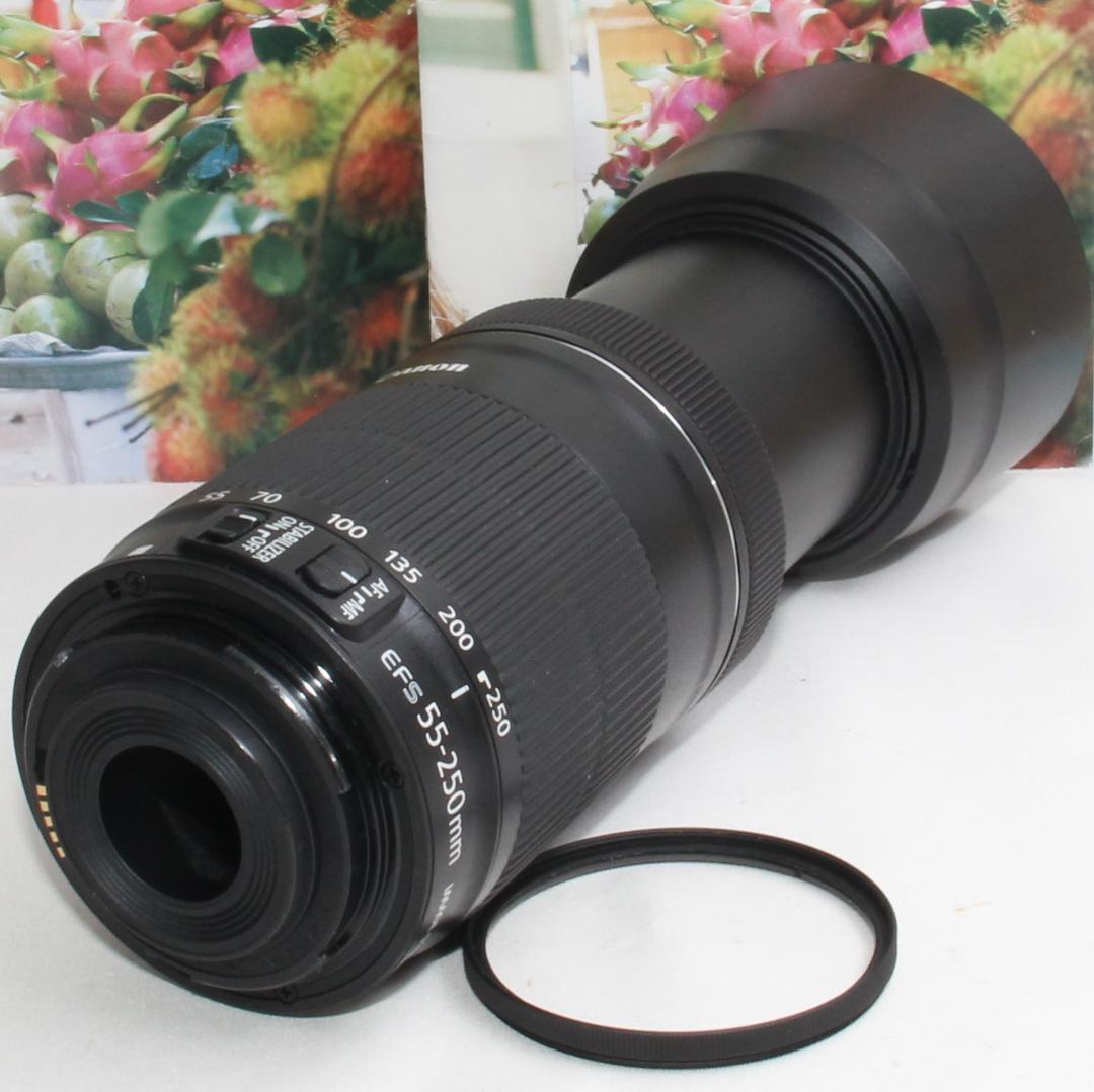 ❤️当店限定!!オマケ盛り沢山❤️Canon 55-250mm IS STM❤️ - メルカリ